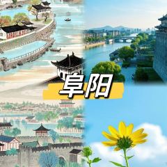 Tiansanjuanmo (renminzhonglu) User Photo