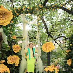 24H color咖啡廳張用戶圖片