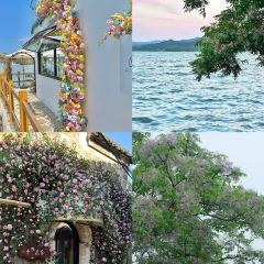 SEAFOOD SPECIAL KITCHEN User Photo