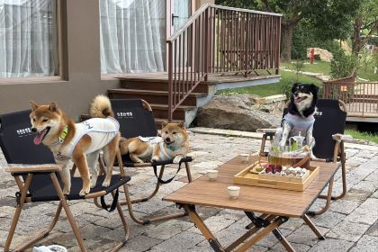 无隐民宿·奇思妙想营