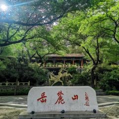 豆夫酥酥臭名远扬臭豆腐(总店) User Photo