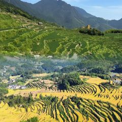 外婆灯盏盘 User Photo