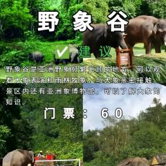 mamalao老撾烤肉糯米飯張用戶圖片