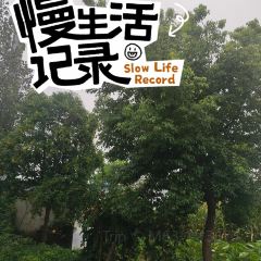 艾佳私房菜 User Photo