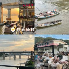 鸽皇餐厅·16年老字号·专业做鸽(东城店) User Photo