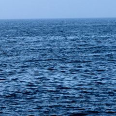 RICH&LIBERTY User Photo