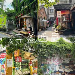 BEN LUO BO CAN YIN User Photo