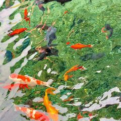 Lxiu Xiao Mang User Photo