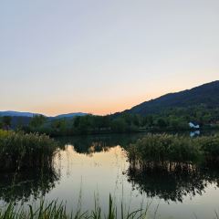 枇杷熟了coffee User Photo