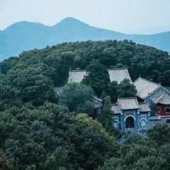 高玮削面馆 User Photo