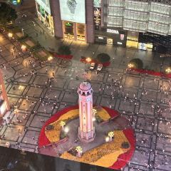 Camellia & Seasons User Photo