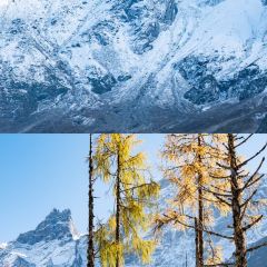 ZA QI ZA BA NIU ZA TANG GUO User Photo