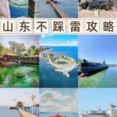 WEIDAOJIA MAMACAI User Photo