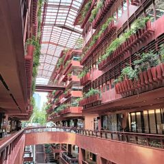 CAMINETTO User Photo