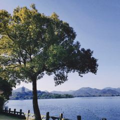 大井巷 User Photo