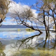 IN MY HEART User Photo