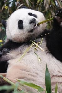 ZhuminjieM7 希岸酒店（濟南西客站店）優惠