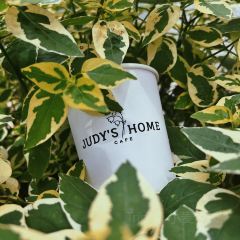 Judy's home cafe User Photo