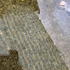 罗浮山天然谷(那里花开店) User Photo