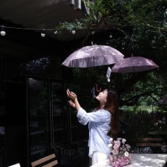 曼与蔓·自然美学庄园 User Photo