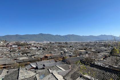 王记清香牛羊杂粉(海河帝景店)