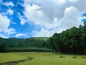 Dalangba Forest Park