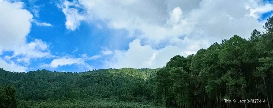Dalangba Forest Park