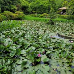 Manor Blanc User Photo