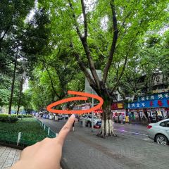 上品江湖菜(龙脊广场店) User Photo