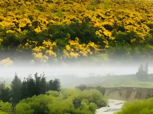 Coastal Pacific Train