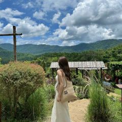 Elefin Farm & Cafe เอเลฟิน ฟาร์ม แอนด์ คาเฟ่ User Photo