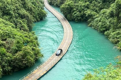 强哥烤活鱼(二店)