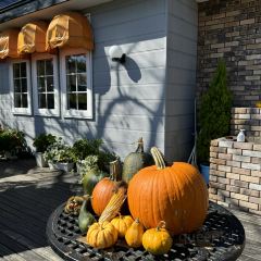 Lake Hill Farm User Photo