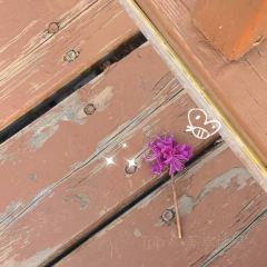 六国饭店 User Photo