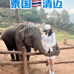Elefin Farm & Cafe เอเลฟิน ฟาร์ม แอนด์ คาเฟ่ User Photo