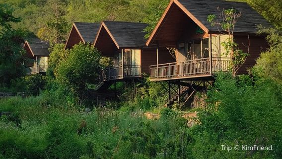 ling quan miao jing xiu xian du jia qu