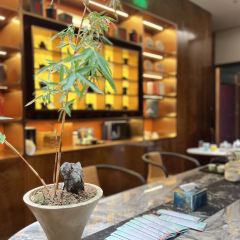 浦江名荟 User Photo