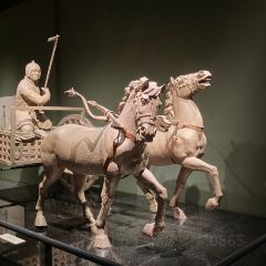 老四季(帅府店) User Photo