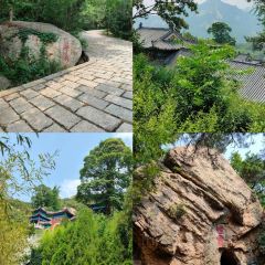 五味府海鲜餐厅·烟台菜·海肠捞饭(黄海明珠店) User Photo