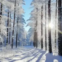 Anda barbecue User Photo