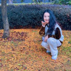 Shan Chinese Restaurant User Photo