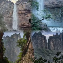 肖家饸饹面总店(郑州总店) User Photo