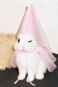 Yuangungunerpangdudu 蘭州時光小苑青旅（火車站店）優惠