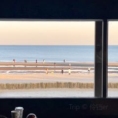 Bar Lotus User Photo