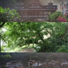 李记牛肉馆 User Photo