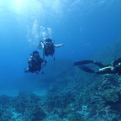 Oleai Beach Bar & Grill User Photo