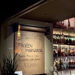 Tokyo Confidential User Photo