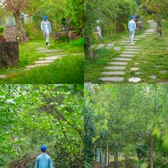 DONG PO SHAN ZHUANG TIAN YUAN SHENG TAI HUO GUO User Photo