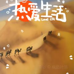 哈里克特色抓饭 User Photo