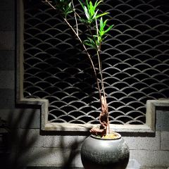 山海经(南海旗舰店) User Photo